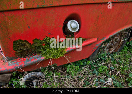 Die Überreste eines Robin Reliant Vintage van langsam verrottet in einem kleinen Bauernhof, der seit 30 Jahren unberührt. Stockfoto