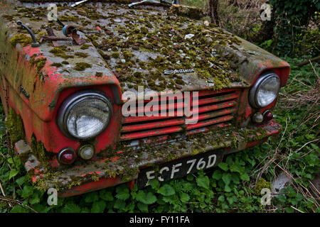 Die Überreste eines Robin Reliant Vintage van langsam verrottet in einem kleinen Bauernhof, der seit 30 Jahren unberührt. Stockfoto