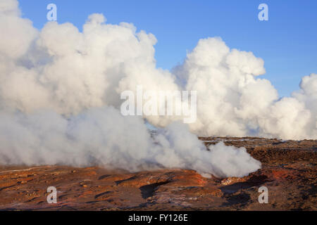 Dampf-Öffnungen / Fumarolen im Gunnuhver, geothermische und Zentrum der Reykjanes vulkanischen System, Island Stockfoto