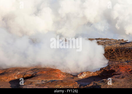 Dampf-Öffnungen / Fumarolen im Gunnuhver, geothermische und Zentrum der Reykjanes vulkanischen System, Island Stockfoto