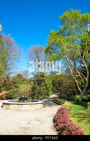 Die Gärten von Tregothnan Anwesen in der Nähe von Truro in Cornwall, Großbritannien Stockfoto