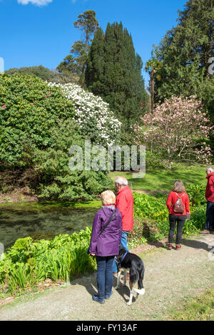 Besucher genießen Sie den Blick in die Gärten von Tregothnan Anwesen in der Nähe von Truro in Cornwall, Großbritannien Stockfoto