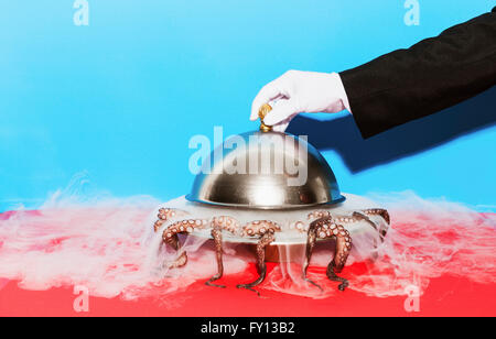 Bild der Kellner heben gewölbte Schale vor blauem Hintergrund abgeschnitten Stockfoto