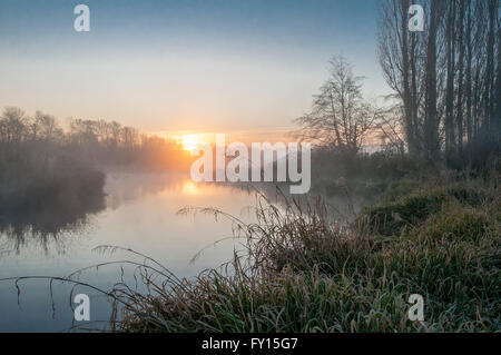 Sonnenaufgang, noch Creek, Burnaby Lake Regionalpark, Burnaby, British Columbia, Kanada Stockfoto