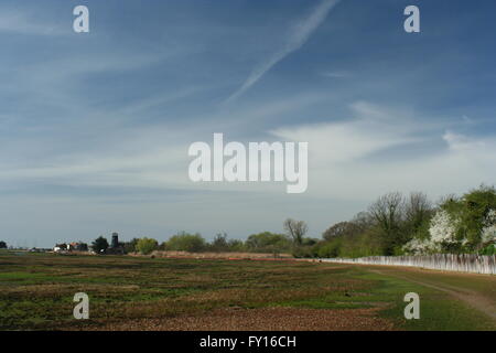 Langstone Harbour Stockfoto
