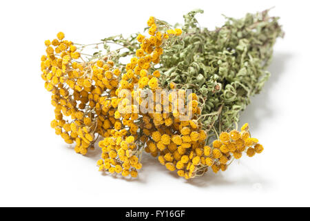 Getrocknete Zweige der ein Kraut Rainfarn - Tanacetum Vulgare oder gemeinsame Rainfarn, auch bittere Schaltflächen isoliert auf weißem Hintergrund. Stockfoto