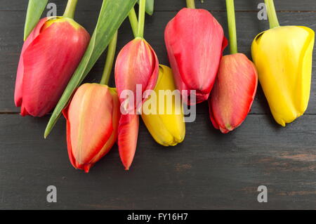 Rote und gelbe Tulpen auf einem dunklen Holztisch Stockfoto