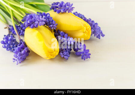 Gelbe Tulpen mit Hyazinthe Frühlingsblumen Stockfoto