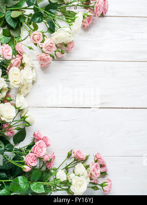 Zarte frische Rosen auf dem weißen Hintergrund aus Holz. Stockfoto