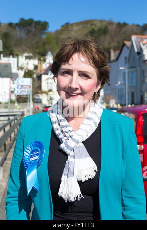 Llandudno, Wales, UK. 20. April 2016. Janet Finch-Saunders Waliser konservative Partei Aberconway Kandidat für 2016 Waliser Versammlung Wahl Llandudno, Gwynedd Credit: Alan Dop / Alamy Live News Stockfoto