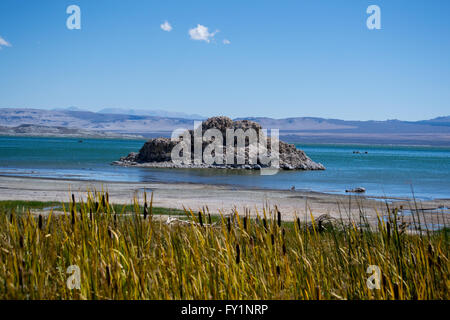 Mono Lake, einen großen flachen Salzsee mit Kalkstein-Formationen an einem Herbsttag am Fuße der Sierra Nevada. Stockfoto