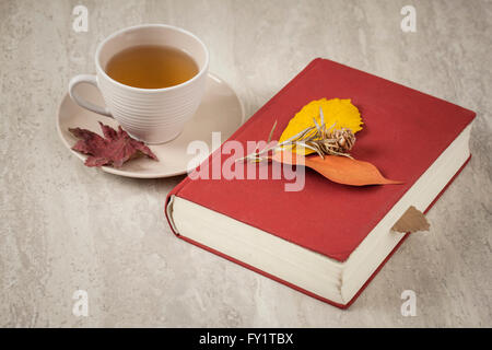 Buch und einer Tasse Tee mit Laub auf Boden Stockfoto