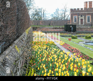 Teich-Gärten in Hampton Court, renoviert und erweitert im Jahre 1515 von Kardinal Wolsey. Stockfoto