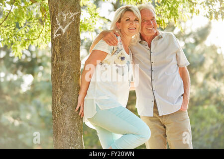 Älteres Paar in Liebe umarmt glücklich unter einem Baum im Sommer Stockfoto