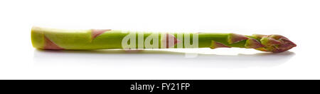 Frischer Spargel isoliert auf weißem Hintergrund Stockfoto