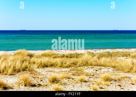 Sandstrand mit Trockenrasen und das offene Meer. Zwei Schiffe sind am Horizont in weiter Ferne sichtbar. Stockfoto