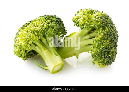 der Brokkoli-Nahaufnahme isoliert auf weißem Hintergrund Stockfoto