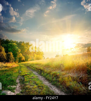 Sonnenstrahlen und Landstraße im Herbst Stockfoto