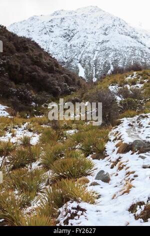 Die spektakuläre Landschaft der Kea Point Strecke, führt zu den Mueller Gletscher in Mt Cook National Park auf der Südinsel Stockfoto