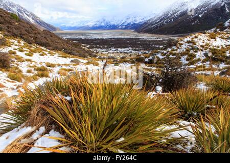 Die spektakuläre Landschaft der Kea Point Strecke, führt zu den Mueller Gletscher in Mt Cook National Park auf der Südinsel Stockfoto