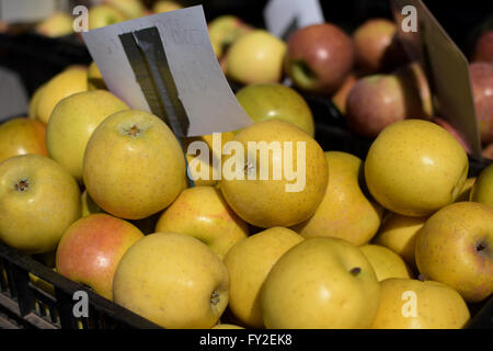 goldene Äpfel zum Verkauf am Bauernmarkt Stockfoto