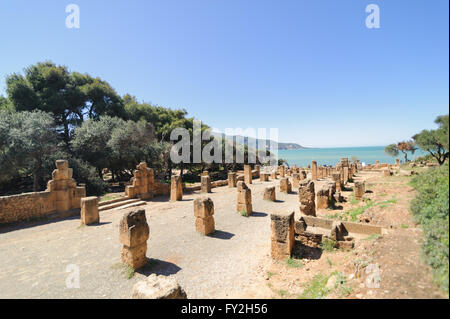 Ruinen von Tipasa(Tipaza). Die antike Stadt war eine Colonia in der römischen Provinz Mauretania Caesariensis lo Stockfoto