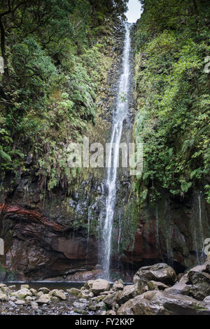 Wasserfall auf der Insel Madeira auf Levada Das 25 Fontes-tracking in wilder Natur Stockfoto