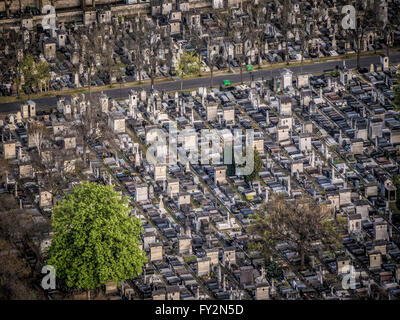 Friedhof Montparnasse, Paris, Frankreich. Stockfoto