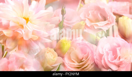 Abstrakt rosa Pfingstrose Blumen Hintergrund Stockfoto
