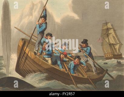WALFANG 1: Schiff Boot nahenden Wal (Bereich Sport-Edward Orme), 1814 Stockfoto