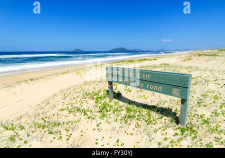 Zitronen Baum Ausgang, 4-Rad-Antrieb Zugang zum Strand, Myall Lakes, New South Wales, Australien Stockfoto