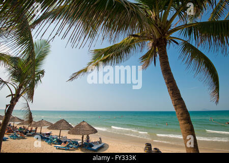 Sonnenschirme von palm Wedel auf Cua Dai Strand in Hoi an, Vietnam Stockfoto