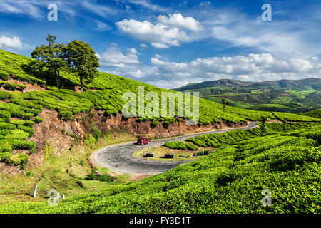 Grüner Tee-Plantagen in Munnar, Kerala, Indien Stockfoto