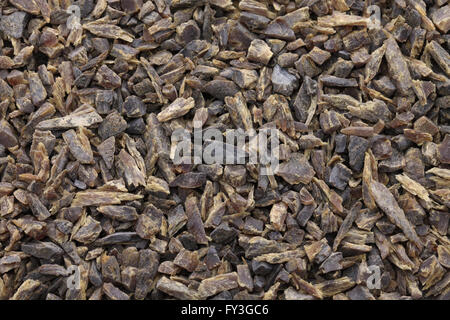 Maldive Fish Chips, Sri Lanka Curry Zutat Stockfoto
