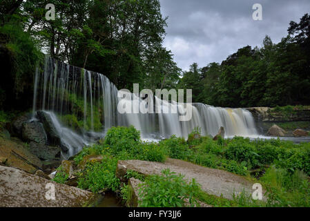 Wasserfall im Wald Stockfoto