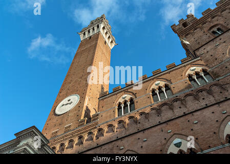 Mangia Turm und Palazzo Pubblico in Siena Stockfoto