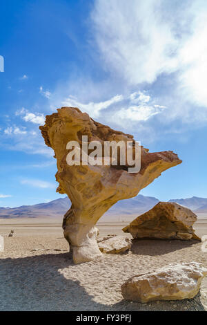 Arbol de Piedra, die vulkanischen Felsformation Stockfoto