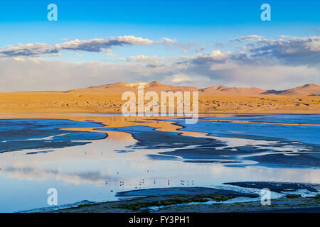 Blick auf Laguna am Abend in der Reserva Nacional De Fauna Andina Edina Eduardo Avaroa, Potasi, Bolivien Stockfoto