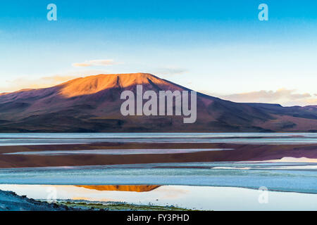 Schöne Laguna Corolada im bolivianischen National Park am Abend Stockfoto