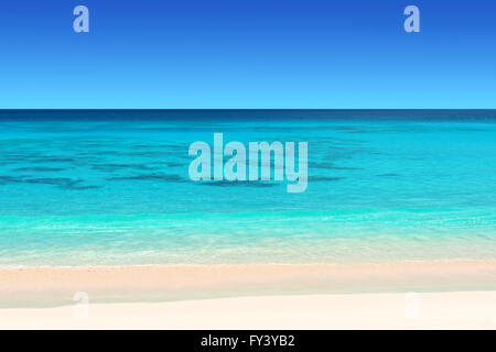 Seychellen tropischen Strand mit weißem Sand und türkisfarbenem Wasser und blauer Himmel Stockfoto