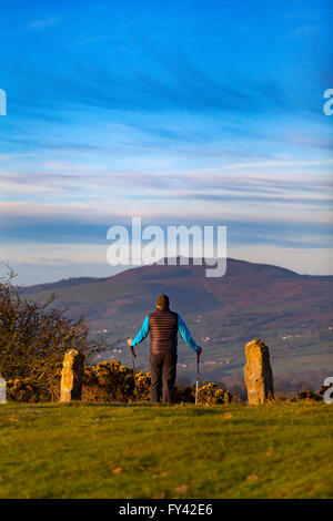 Flintshire, North Wales, UK. 21. April 2016. Großbritannien Wetter - Walker genießen Sonnenaufgang über Clwydian Hügel auf was könnte ein weiterer heißer Tag, Flintshire, North Wales, UK Stockfoto