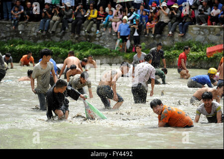 Taijiang, Chinas Provinz Guizhou. 21. April 2016. Lokale Dorfbewohner konkurrieren in einem Fisch-Fang-Wettbewerb in Laotun Dorf von Taijiang County, autonome Präfektur von Qiandongnan der Miao-Dong, Südwesten Chinas Provinz Guizhou, 21. April 2016. Bildnachweis: Tao Liang/Xinhua/Alamy Live-Nachrichten Stockfoto