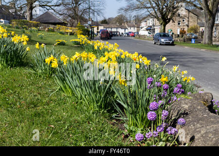 Middleton-in-Teesdale, County Durham, Großbritannien.  21. April, UK Wetter.  Blumen in voller Blüte, als das warme Frühlingswetter weiter im Norden Walliser Dorf der Middleton-in-Teesdale in der Grafschaft Durham. Bildnachweis: David Forster/Alamy Live-Nachrichten Stockfoto