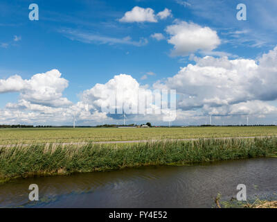 Ländliche Polderlandschaft mit Graben, Ackerland und Windturbinen in der Provinz Flevoland, Niederlande Stockfoto