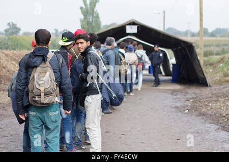 Flüchtlinge, Serbo-Kroatisch Grenzübertritt zwischen Berkasovo (Serbien) und Bapska (Kroatien) Stockfoto