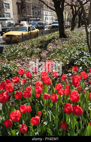 Park Avenue in Murray Hill, New York, USA Stockfoto