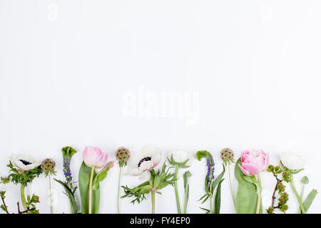 Rosa Tulpen, weiße Anemonen, rosa Nelken und weiße Ranunkeln auf weißem Hintergrund hintereinander liegend Stockfoto