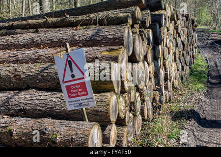 Gestapelte Protokolle in hohen Felsen Wald nahe Witherslack Cumbria Stockfoto