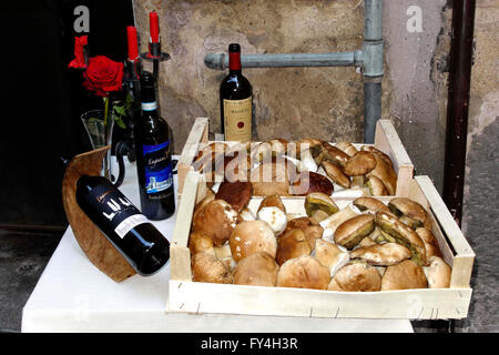 Speisepilze "Funghi Porcini" (Boletus Edulis) und Flaschen Wein auf dem Display, Siena, Toskana, Italien Stockfoto