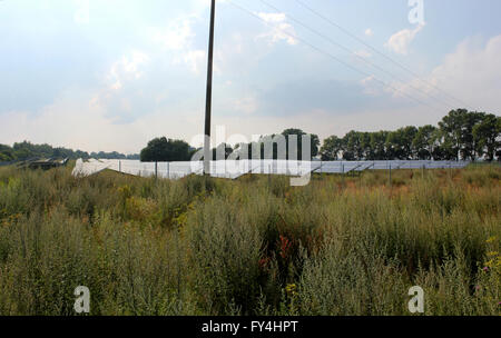 PV-Anlage außerhalb der Stadt mit Stromleitungen. Stockfoto
